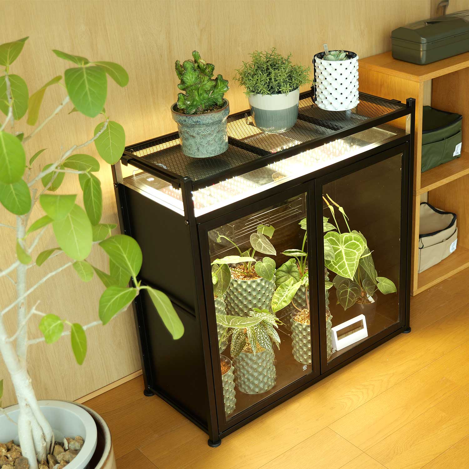 抱きしめられる「植物ぬいぐるみクッション」が7月より発売_015