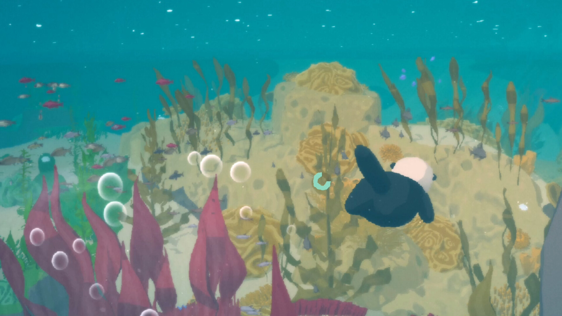 “ラッコ”になって自然界をのびのび冒険するゲーム『Otterly Lost』が超かわいい_001