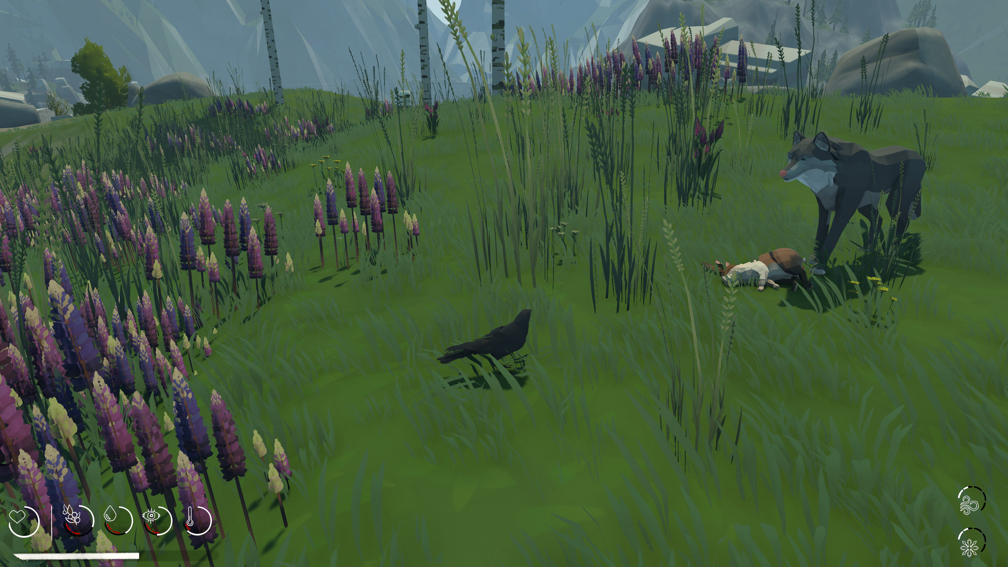 カラスとなって過酷な自然を生き抜くサバイバルゲーム『Migration』がKickstarterページを公開_007