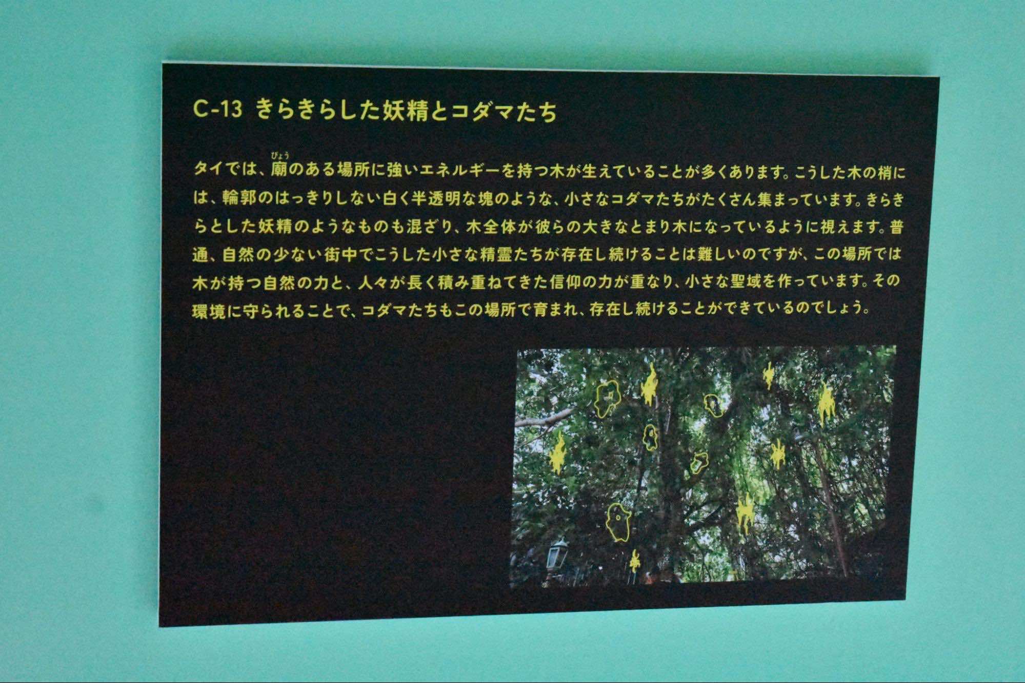 「視える人には見える展」レポート|霊感ゼロの人間が行ってみたら、何が見える?_019