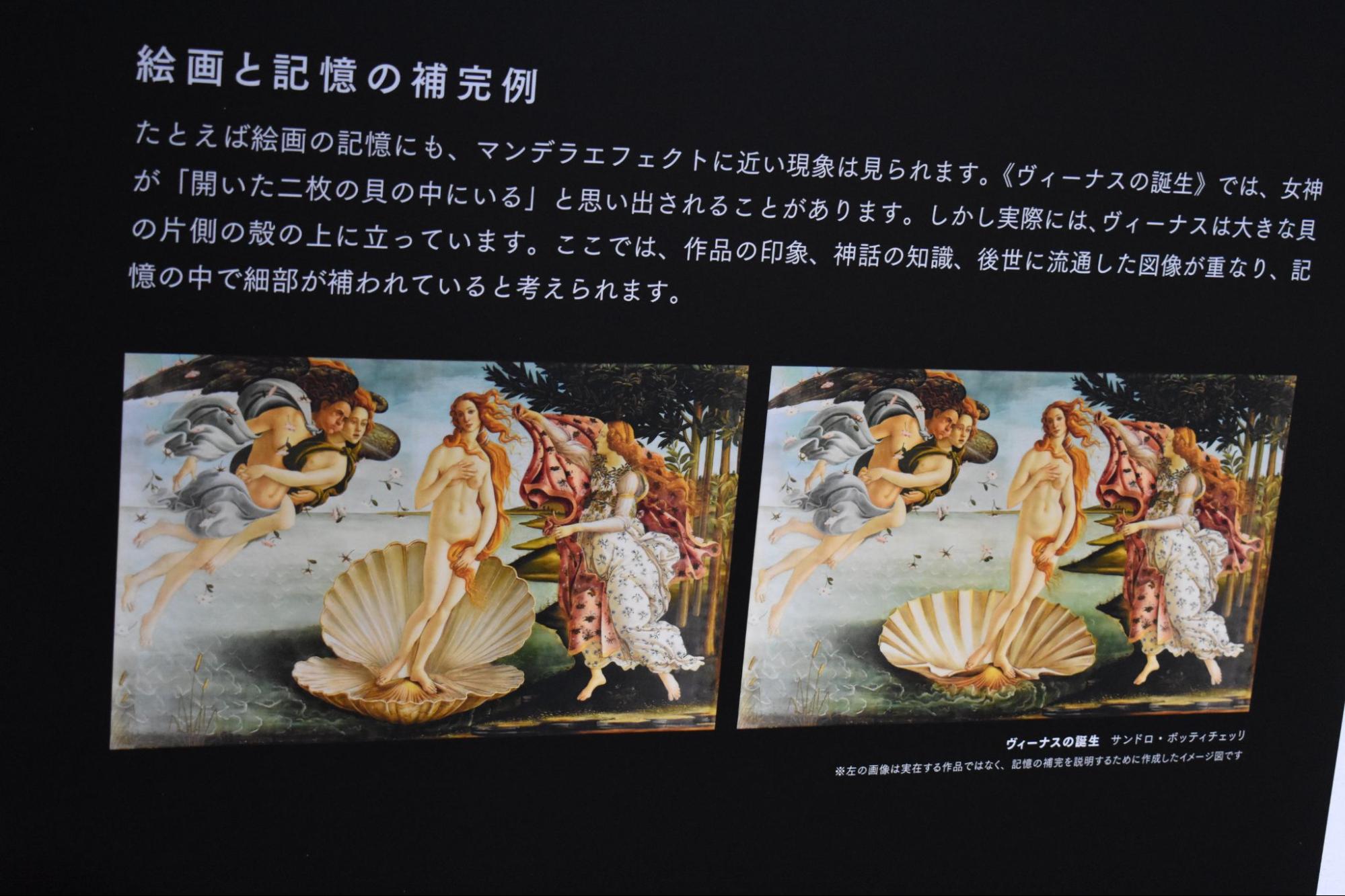 「記憶汚染展」イベントレポート｜ホラーとして、ミステリーとして、2周楽しめる展覧会【ネタバレあり】_004