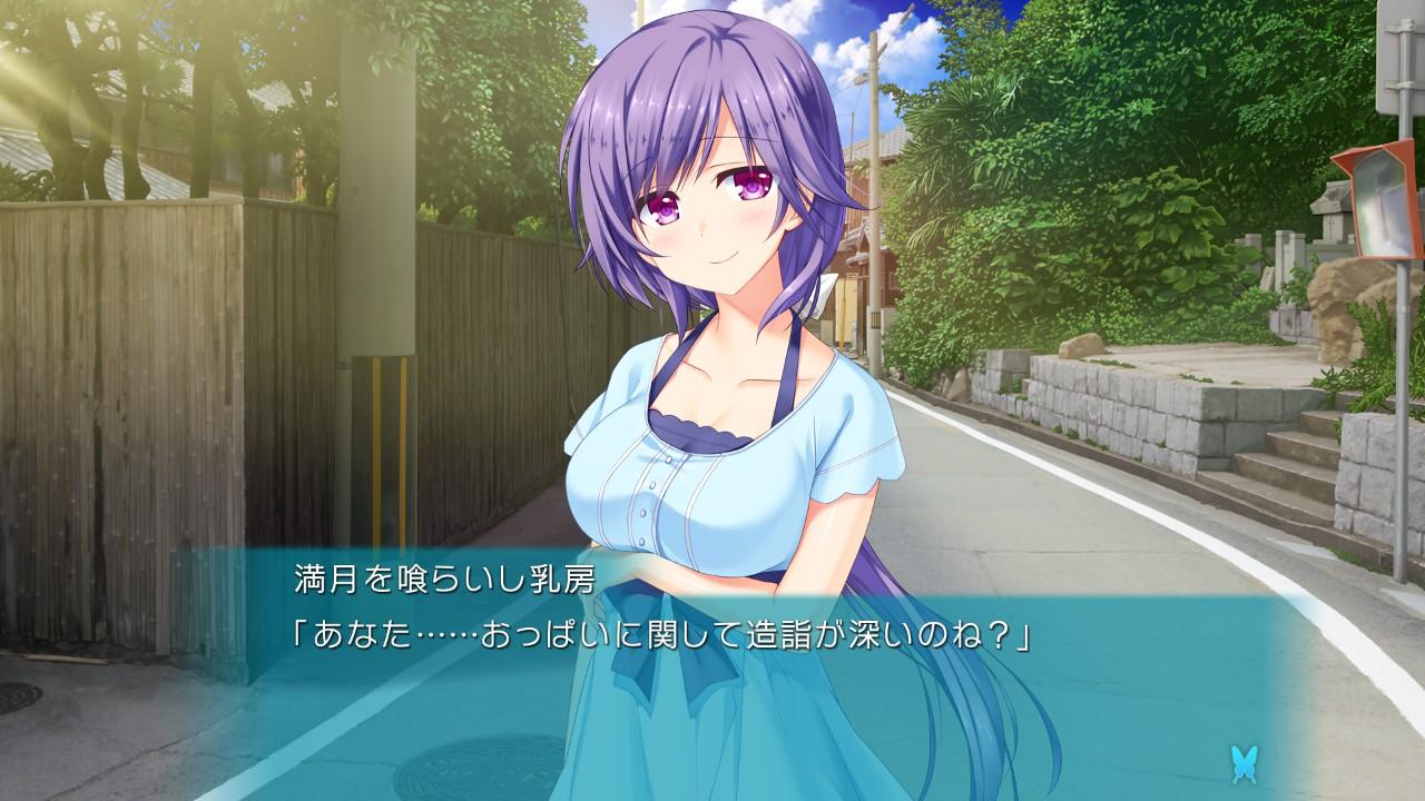 『サマポケ』レビュー・感想・評価:遊んだら、夏の思い出の半分が