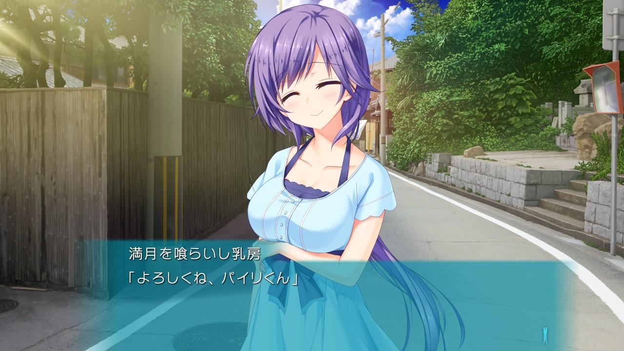 『サマポケ』レビュー・感想・評価:遊んだら、夏の思い出の半分が