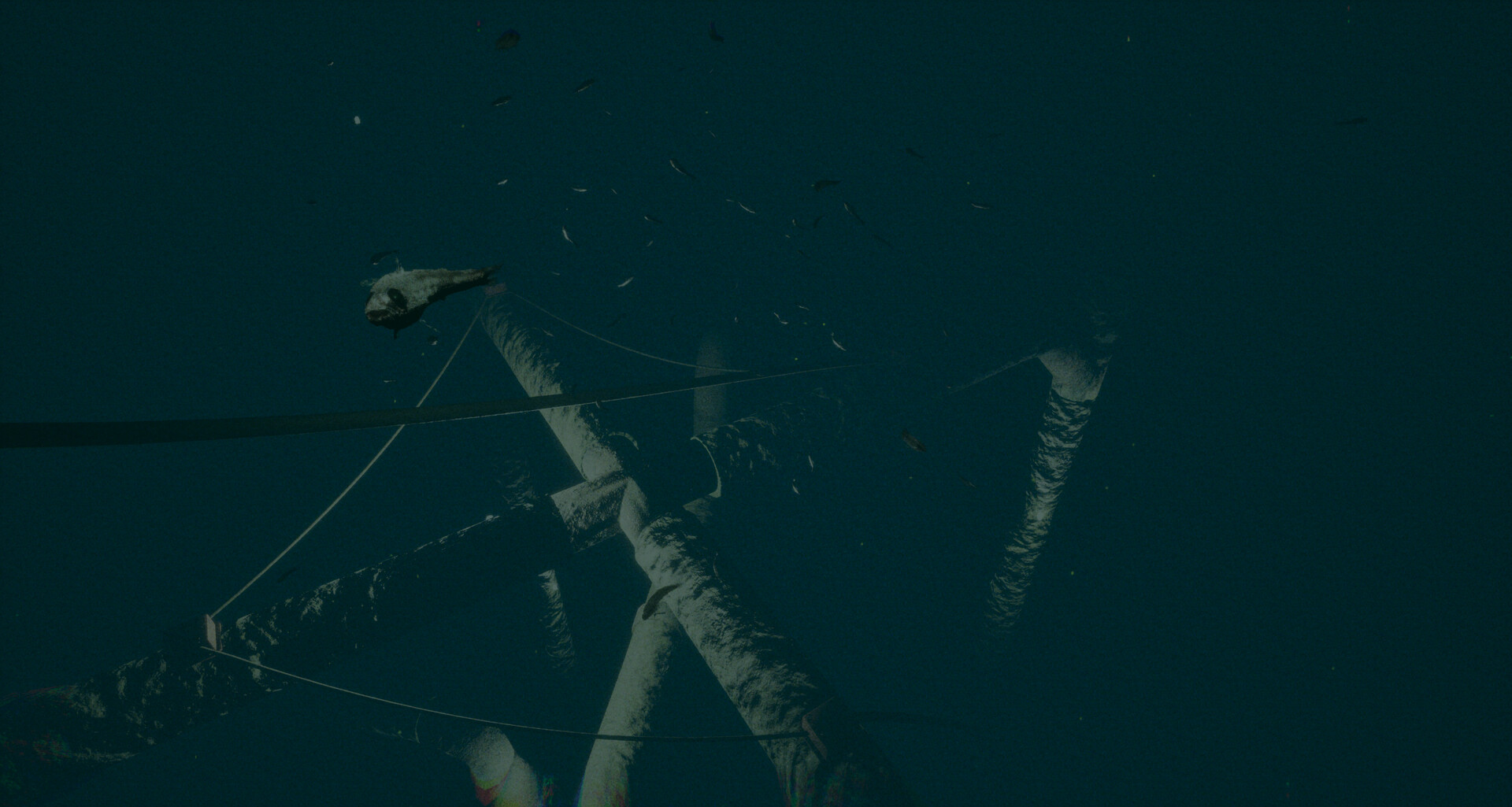 深海探索ホラーゲーム『Dark of the Depths』がSteamにて配信開始_002