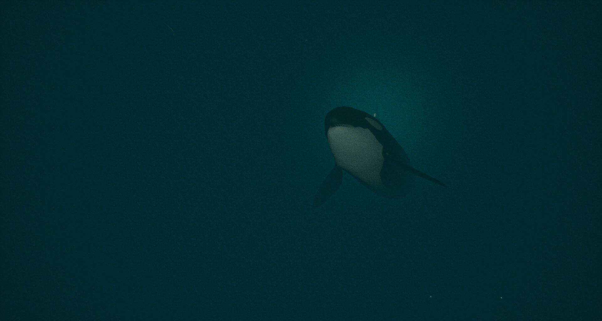 深海探索ホラーゲーム『Dark of the Depths』がSteamにて配信開始_001