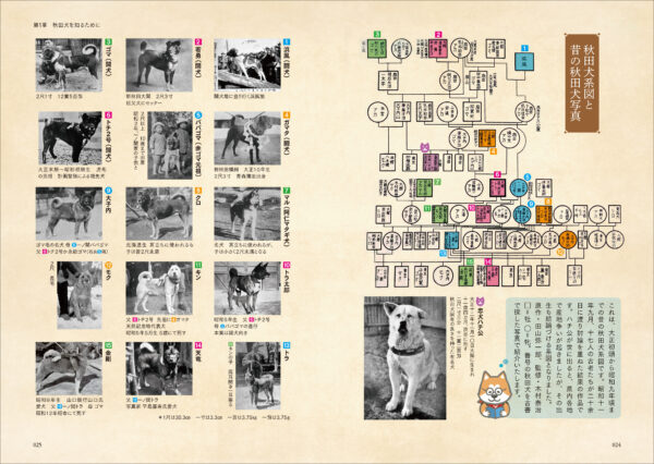 書籍『秋田犬の資料集』が9月7日に発売。秋田犬のルーツや特徴、知られざるエピソードを資料と共に解説する研究書_001