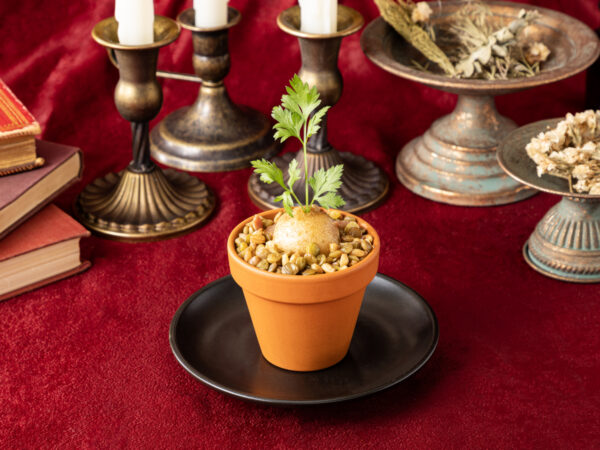 「Harry Potter Cafe」「Harry Potter Cafe Window」一部メニューが9月1日よりリニューアル_025