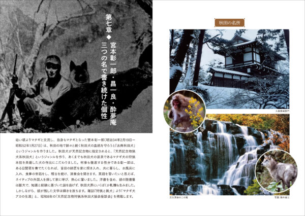 書籍『秋田犬の資料集』が9月7日に発売。秋田犬のルーツや特徴、知られざるエピソードを資料と共に解説する研究書_003