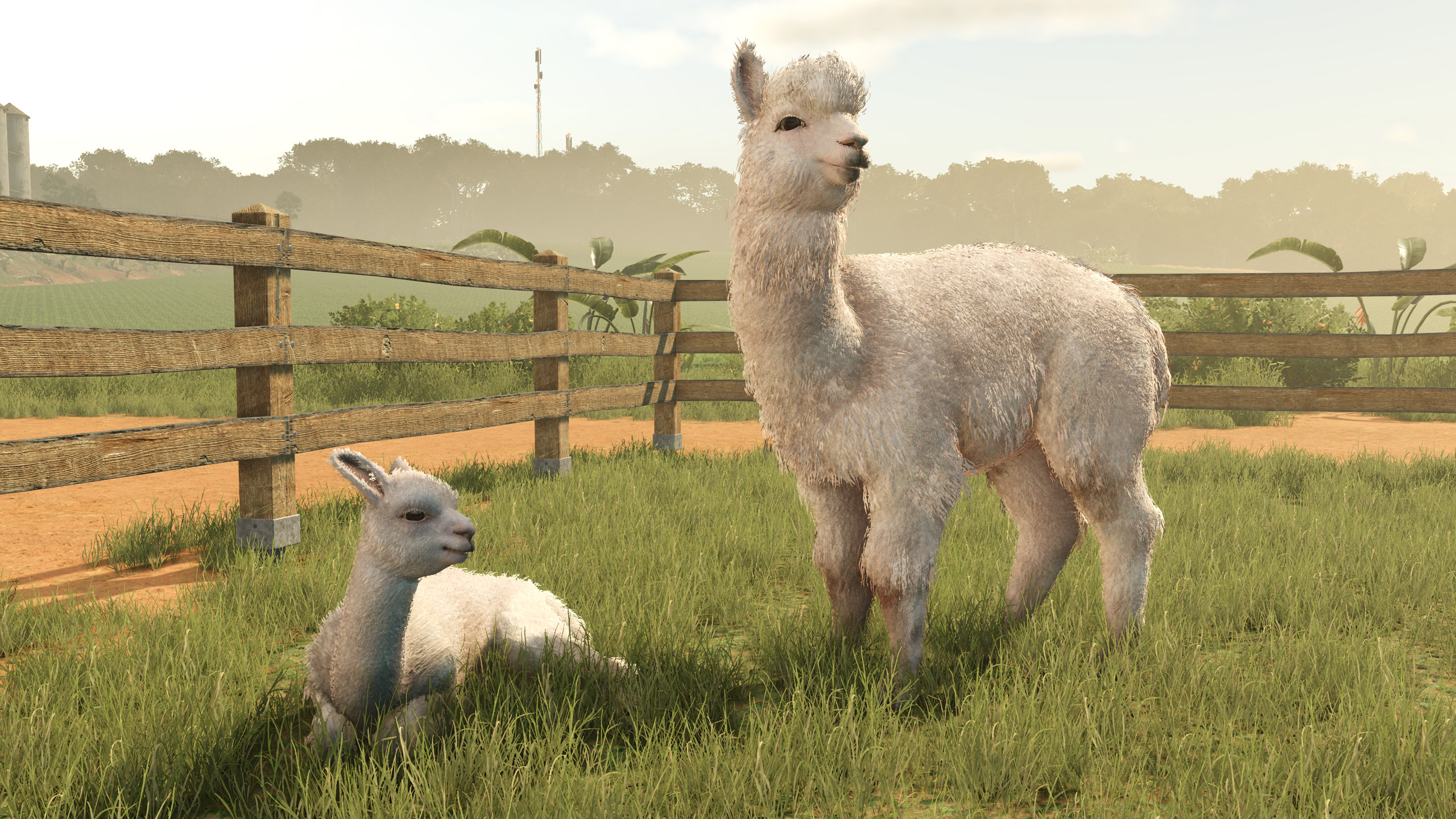 『ファーミングシミュレーター 25』の全世界販売本数が500万本を突破。拡張パック「Beans & Alpacas」の新映像も公_012
