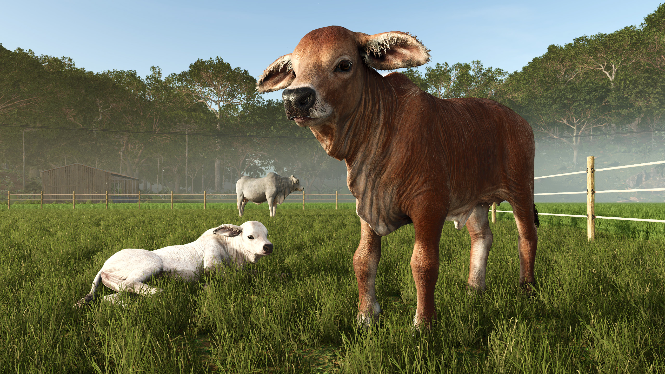 『ファーミングシミュレーター 25』の全世界販売本数が500万本を突破。拡張パック「Beans & Alpacas」の新映像も公_013