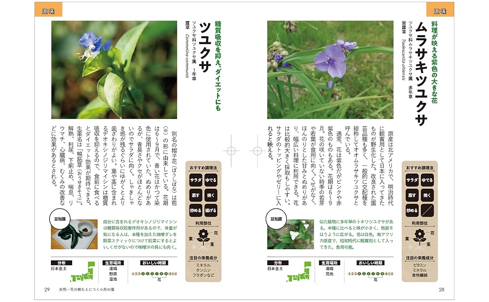 書籍『おいしい雑草図鑑』Kindle版が“70％オフ”となる日替わりセールを実施中_002