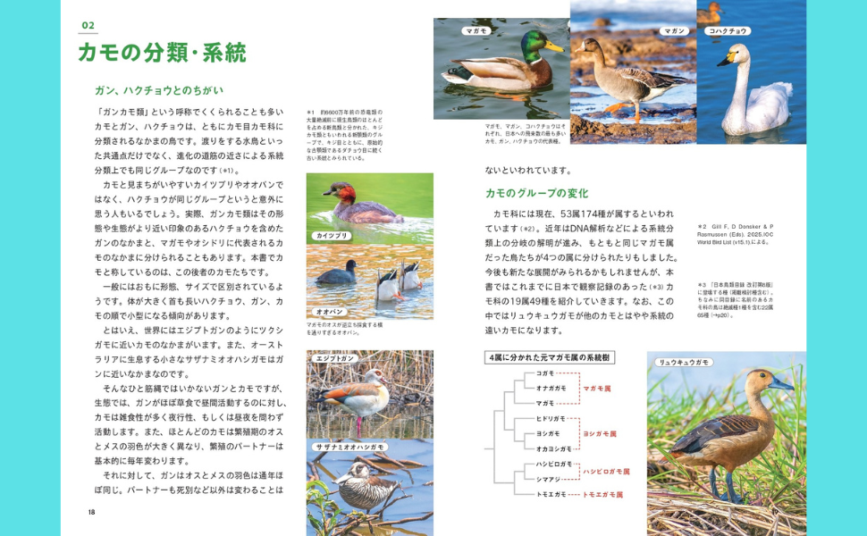 書籍『にっぽんのカモ』Kindle版が“72%オフ”となる日替わりセールを開催中_002