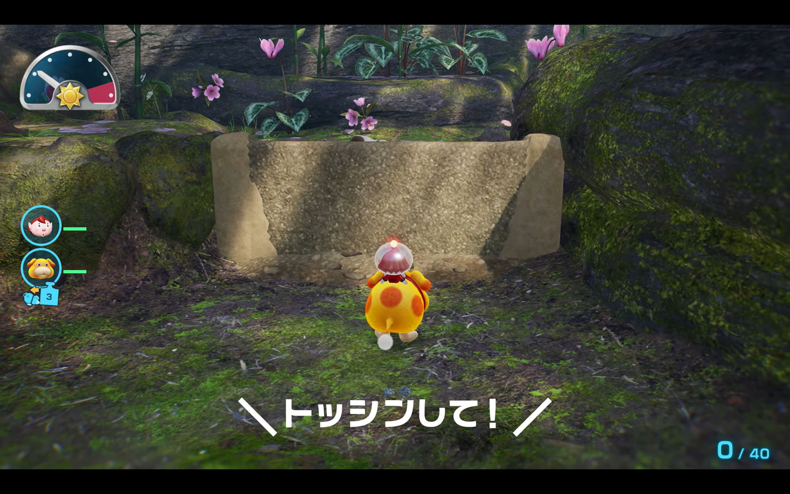 『ピクミン4』Nintendo Switch 2 Editionが11月12日発売_003