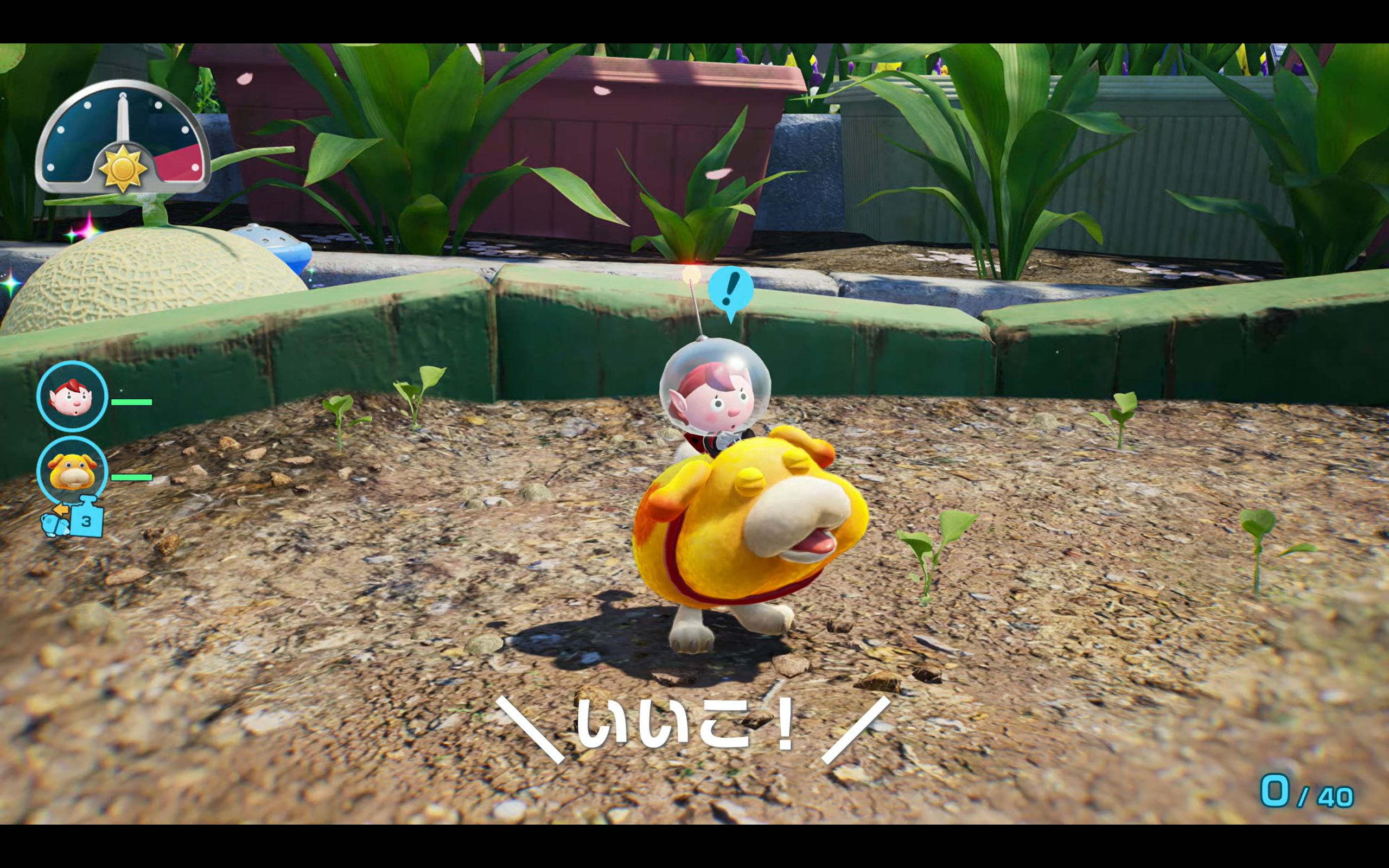 『ピクミン4 Nintendo Switch 2 Edition + だれでもチャレンジ! ダンドリ検定』が11月12日発売_002