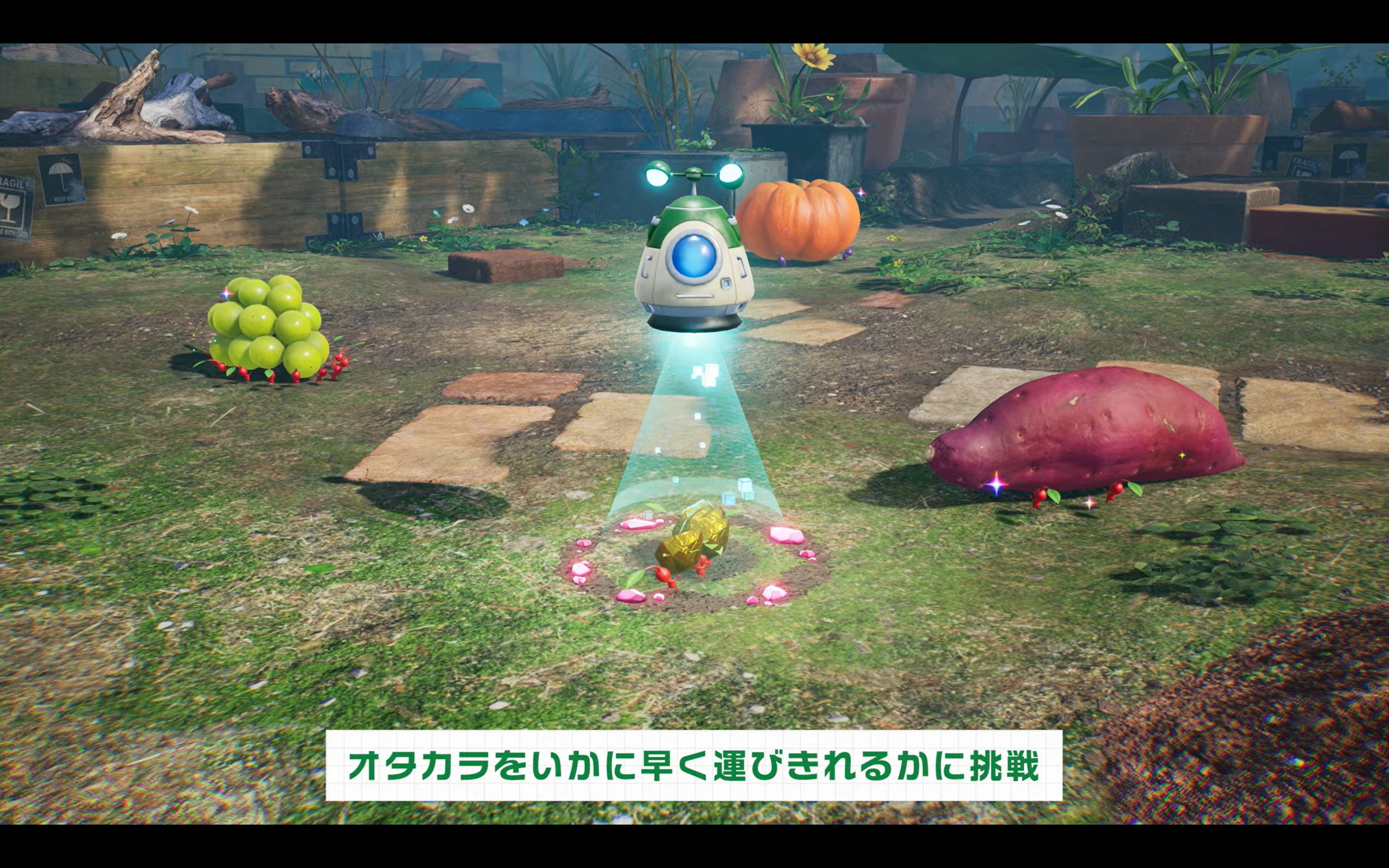 『ピクミン4』Nintendo Switch 2 Editionが11月12日発売_005