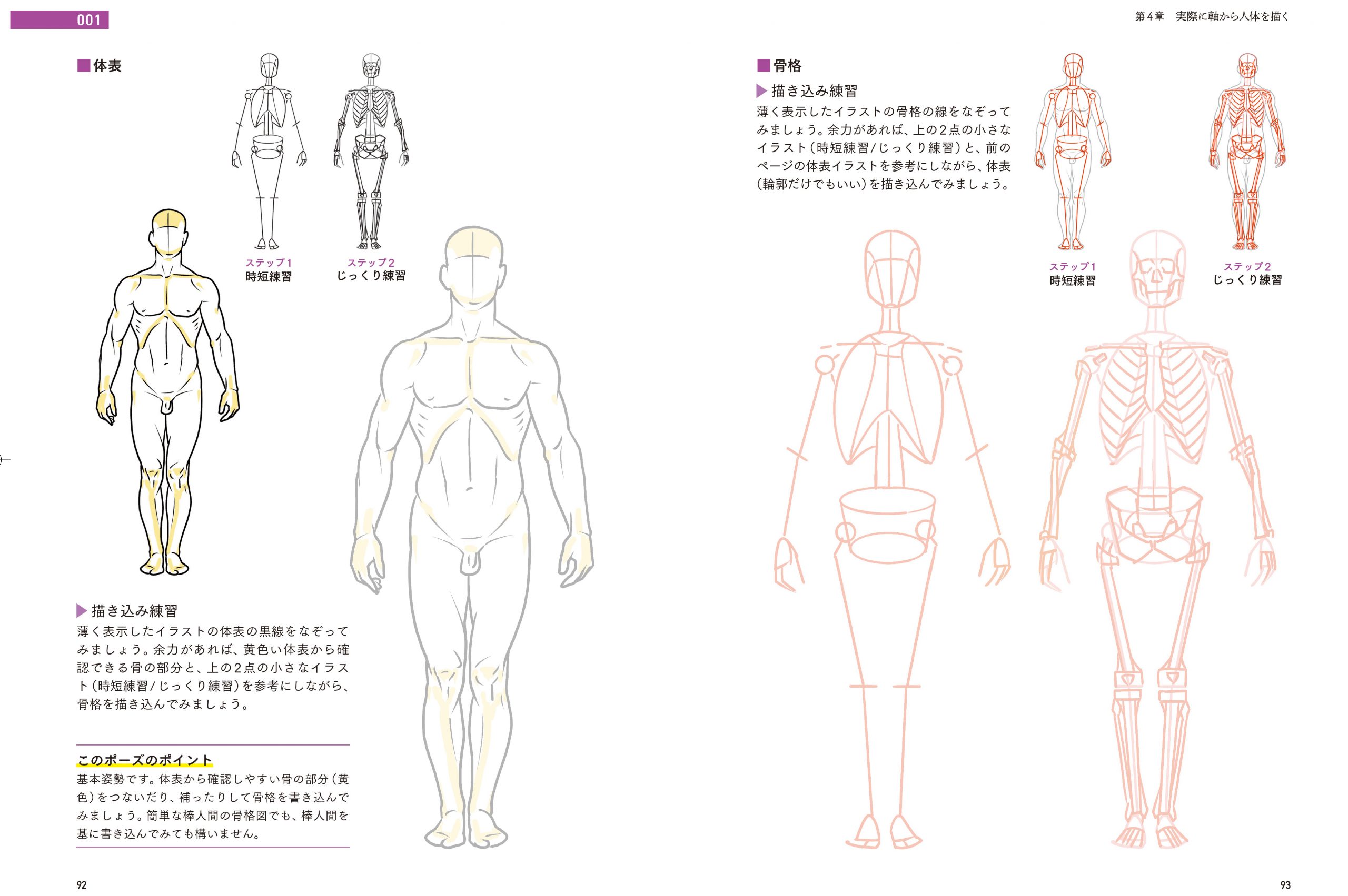 作画の歪みや違和感に気付く美的感性を養う『軸から人体を描く美術解剖学』Kindle版を50%オフで買えるセールがAmazonで開_001