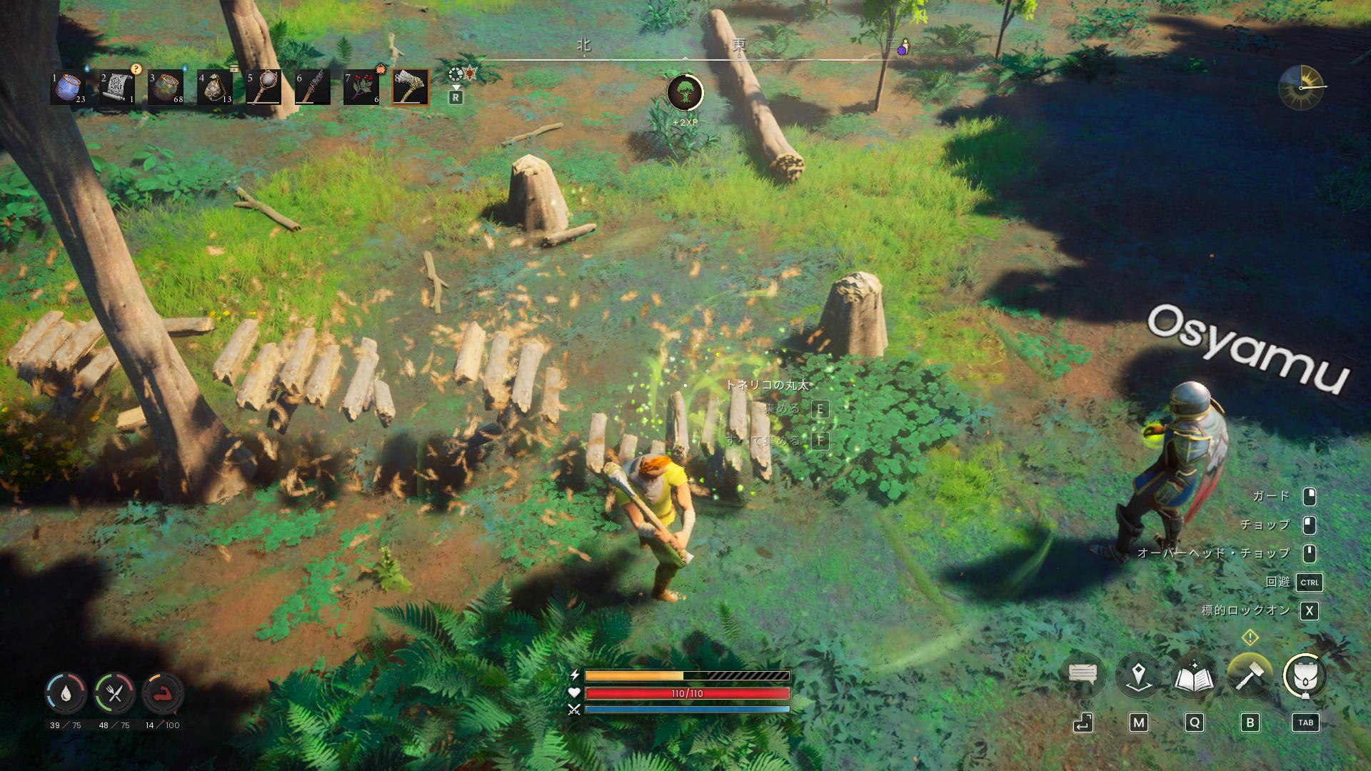 『ルーンスケープ:ドラゴンワイルズ』で「いつかドラゴンを倒す」と誓いながら家を建てていたら30時間が溶けていた_046