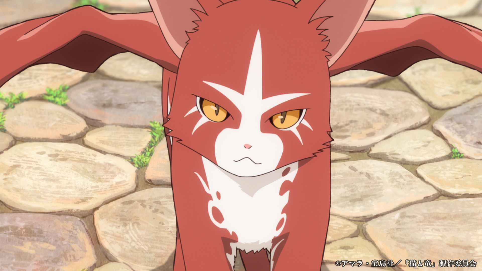 TVアニメ『猫と竜』第2期制作決定、2027年より放送開始
_008