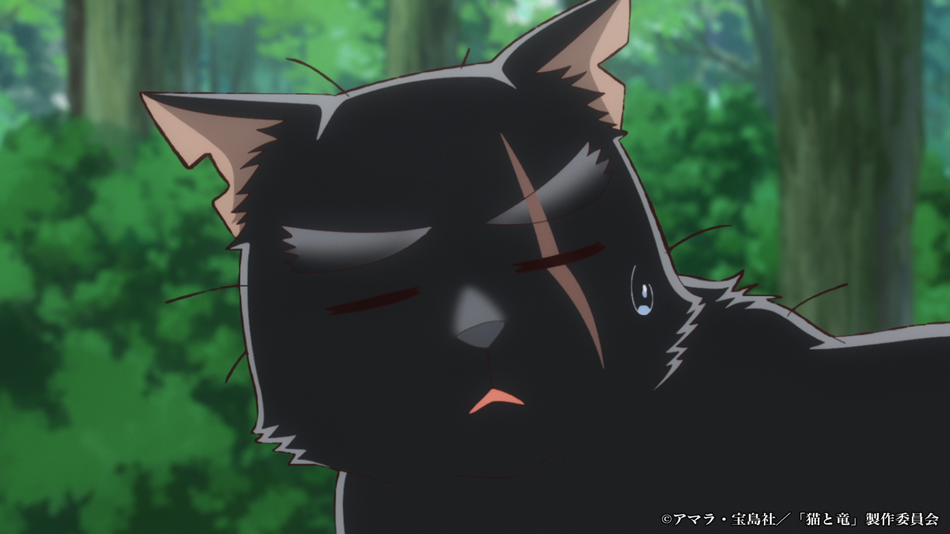TVアニメ『猫と竜』第2期制作決定、2027年より放送開始
_010
