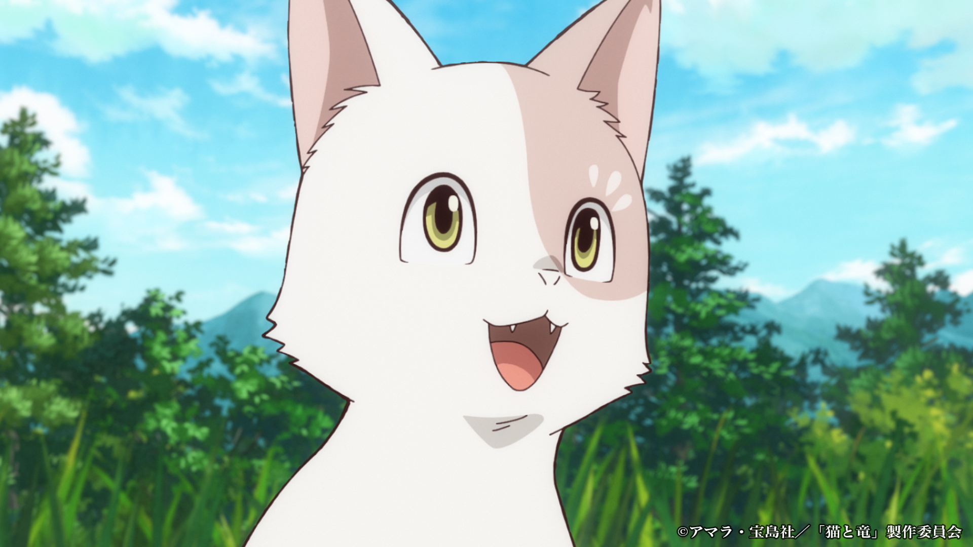 TVアニメ『猫と竜』第2期制作決定、2027年より放送開始
_012