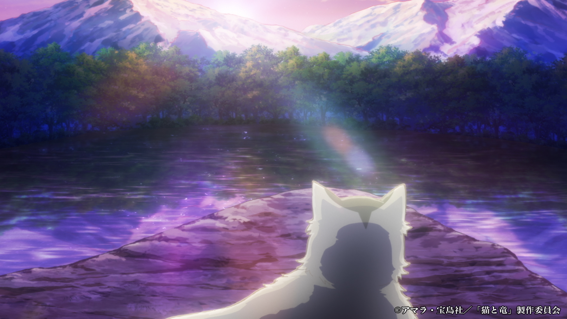 TVアニメ『猫と竜』第2期制作決定、2027年より放送開始
_014