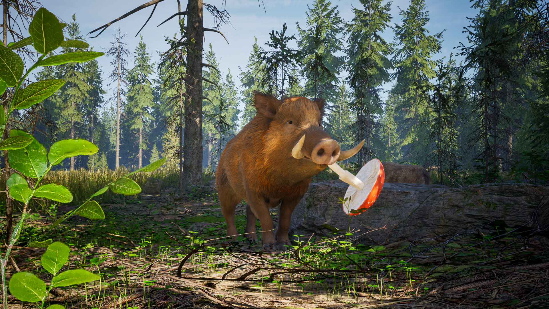 『Wild Terrain』の新ゲームプレイ映像が公開。野生のイノシシになって行方不明になったウリ坊たちを探すゲーム_004