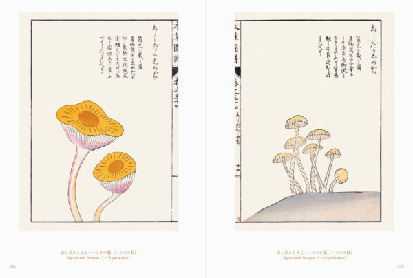 書籍『世界の美しいきのこ絵』が刊行。18世紀~20世紀に描かれた世界の菌類図譜を約300点収録した図鑑_015