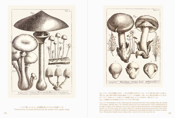 書籍『世界の美しいきのこ絵』が刊行。18世紀~20世紀に描かれた世界の菌類図譜を約300点収録した図鑑_011