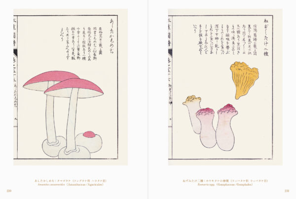 書籍『世界の美しいきのこ絵』が刊行。18世紀~20世紀に描かれた世界の菌類図譜を約300点収録した図鑑_013