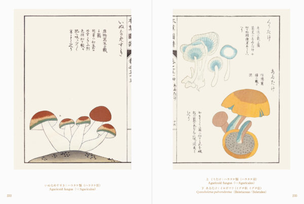 書籍『世界の美しいきのこ絵』が刊行。18世紀~20世紀に描かれた世界の菌類図譜を約300点収録した図鑑_014