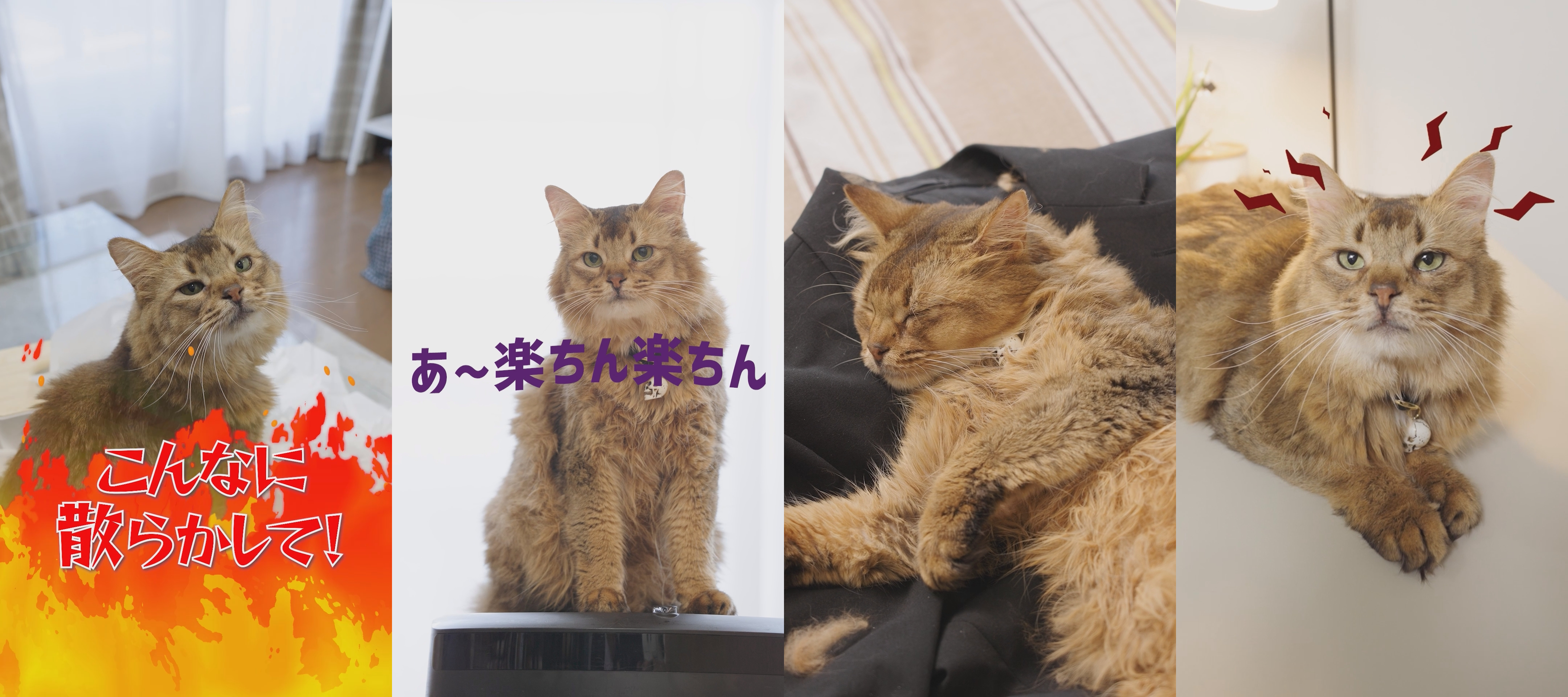 article-thumbnail-261014y