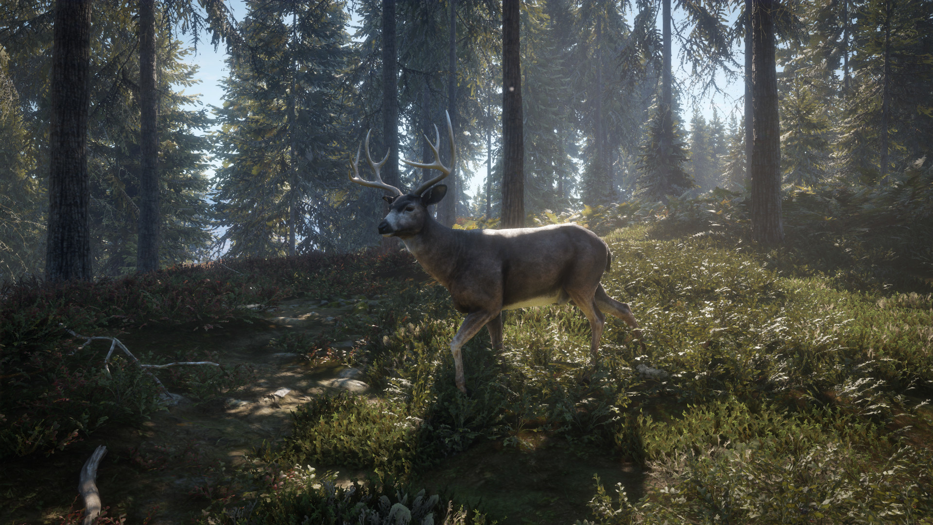 【2300円→230円】美しい大自然の中で狩りをするゲーム『theHunter: Call of the Wild』を90%オフ_001