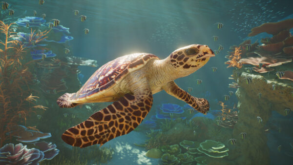 『プラネット ズー 2』本日10月13日に発売。生き物たちの楽園を作り上げる動物園経営シミュレーションゲーム
_002