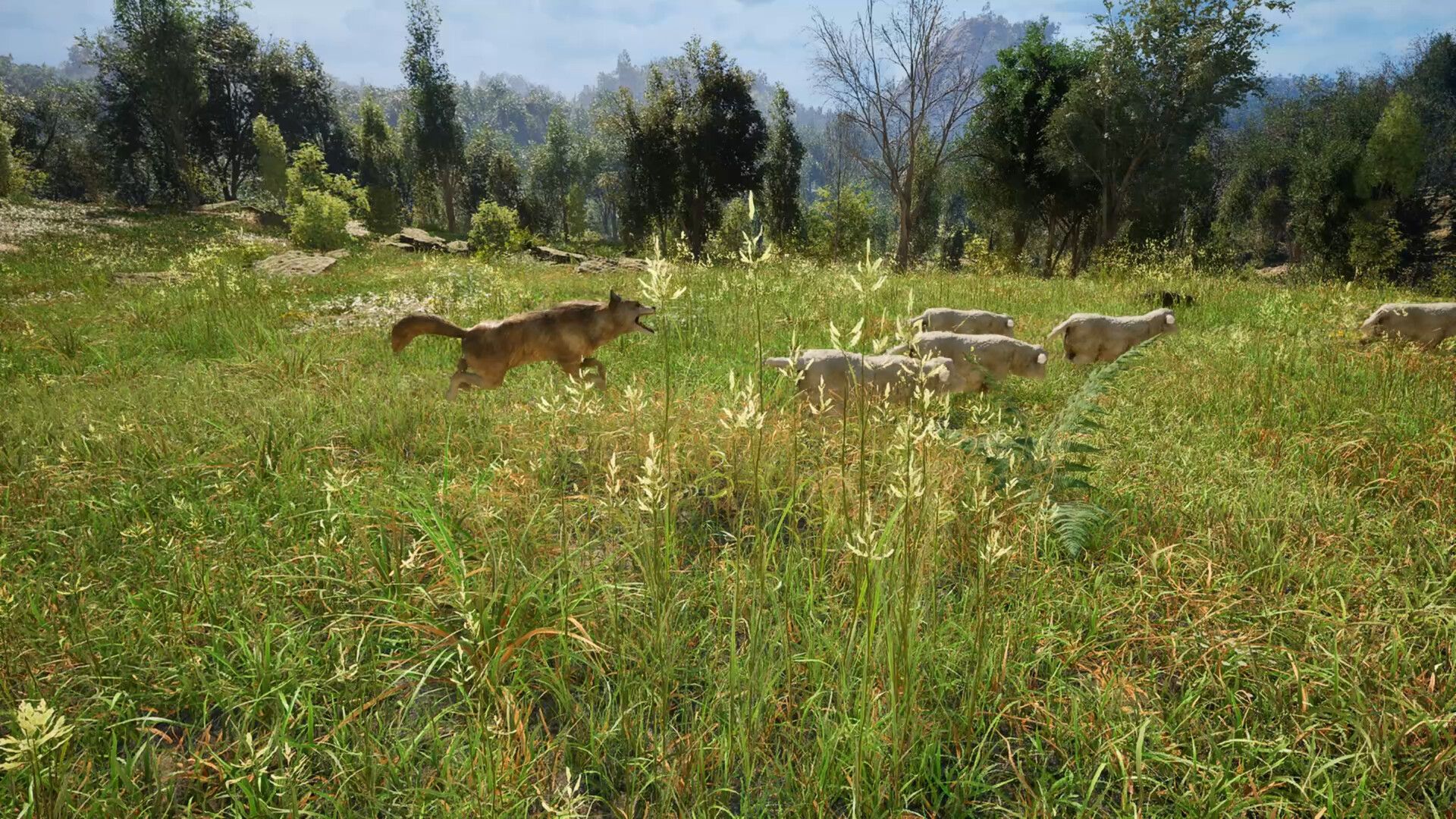 『Medieval Shepherd』ゲームプレイ映像が公開。中世ヨーロッパの羊飼いとして、牧羊犬たちとともに羊の群れを導く_003