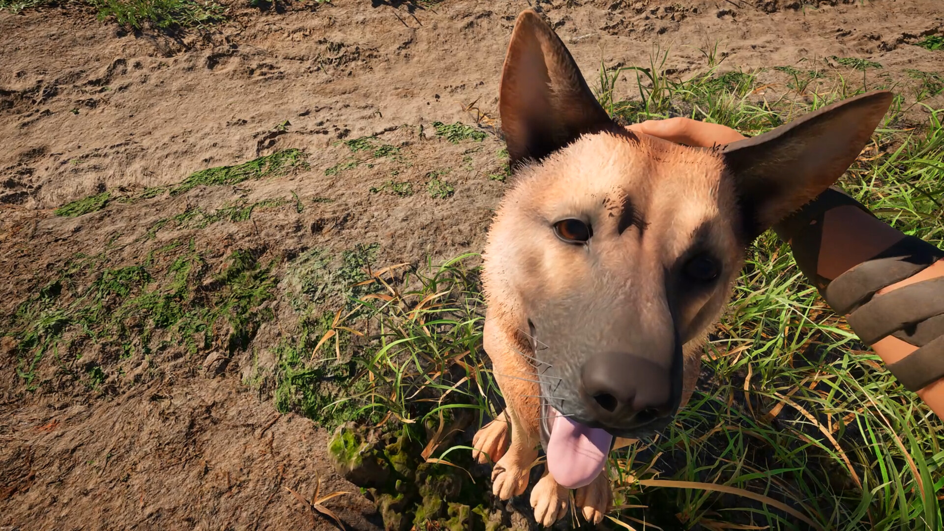 『Medieval Shepherd』ゲームプレイ映像が公開。中世ヨーロッパの羊飼いとして、牧羊犬たちとともに羊の群れを導く_001