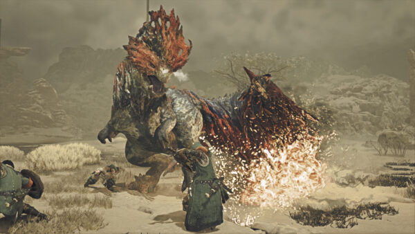 Nintendo Switch 2 『モンスターハンターワイルズ 序盤体験版』が配信開始_002