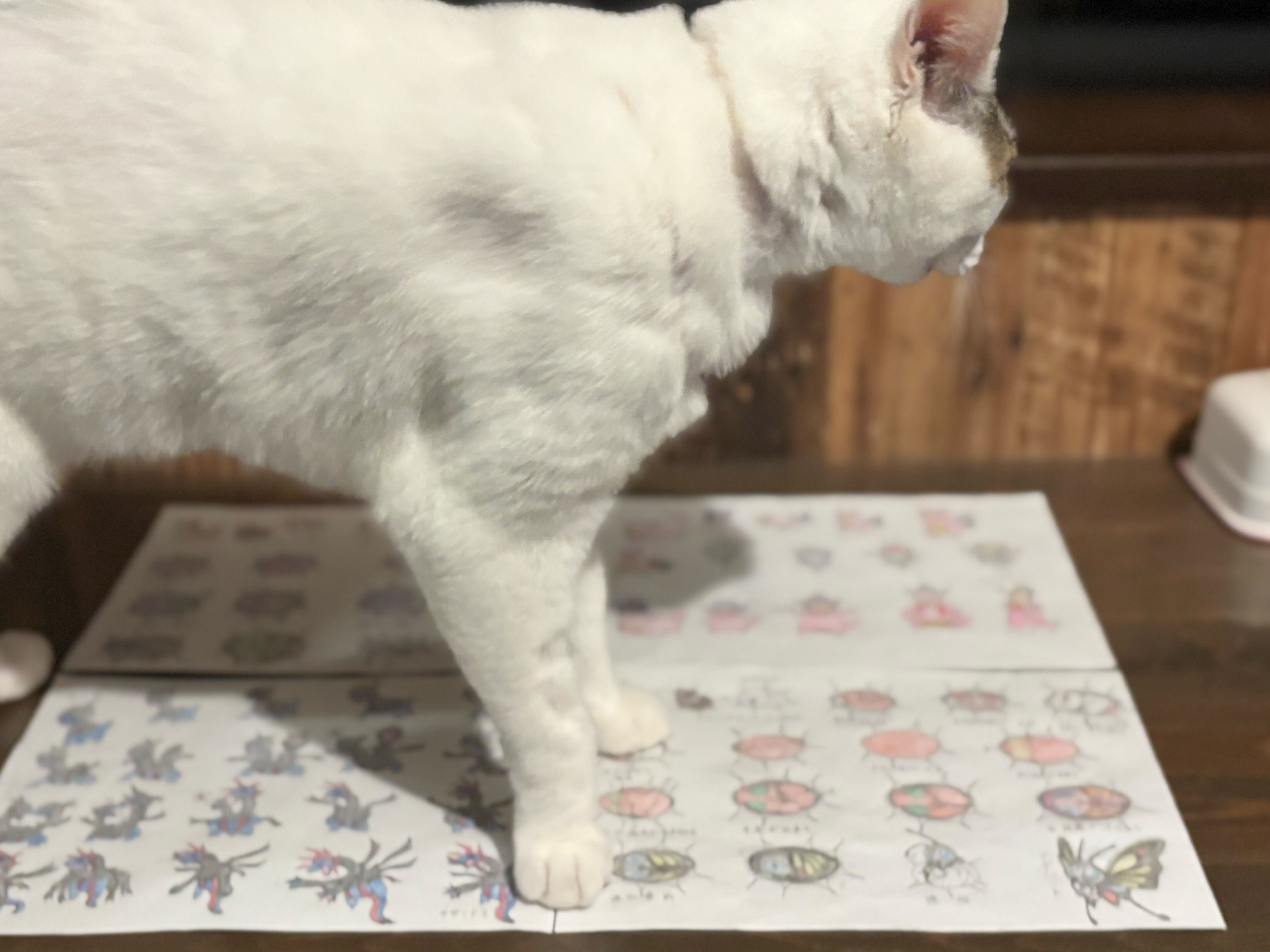 高校生が描いた「ポケモン進化の過程」に説得力がありすぎるので、本人に図解してもらった_029