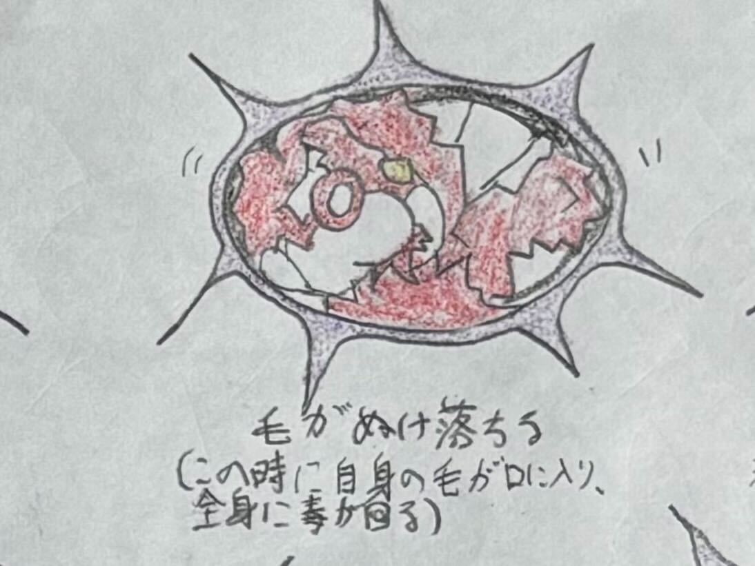 高校生が描いた「ポケモン進化の過程」に説得力がありすぎるので、本人に図解してもらった_008