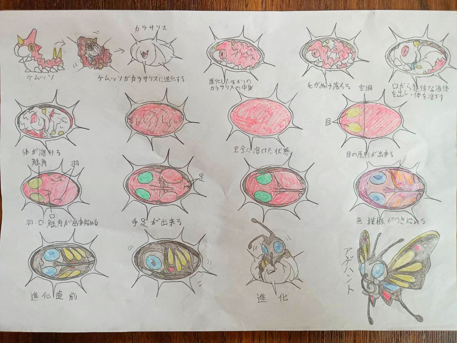 高校生が描いた「ポケモン進化の過程」に説得力がありすぎるので、本人に図解してもらった_001