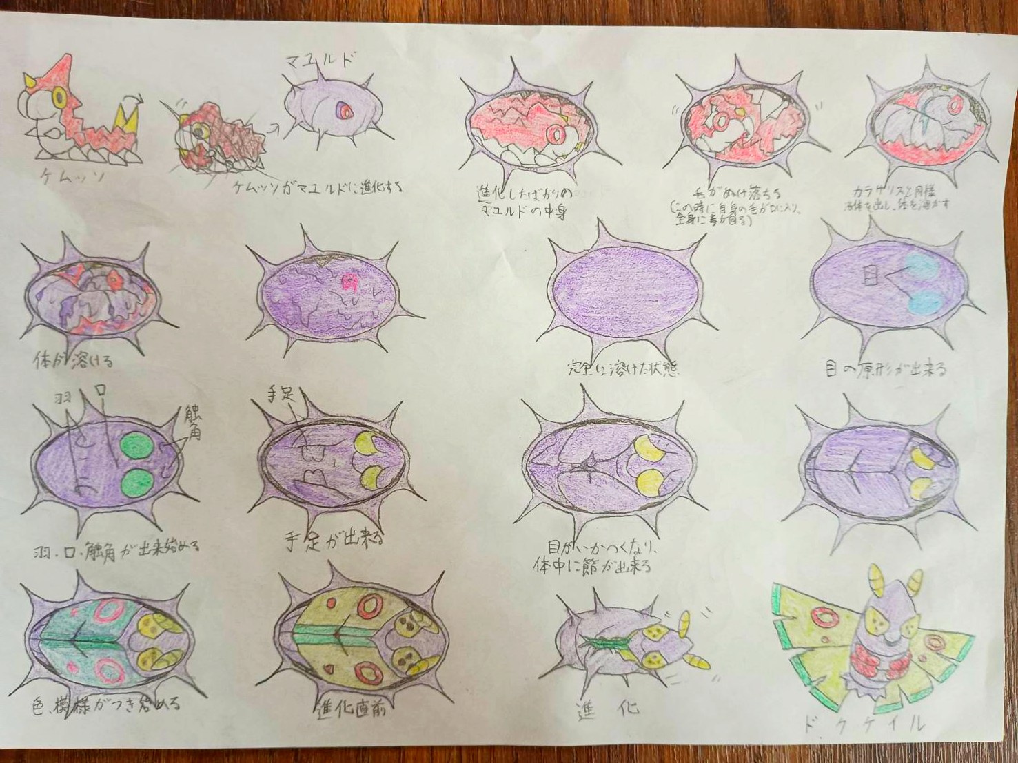 高校生が描いた「ポケモン進化の過程」に説得力がありすぎるので、本人に図解してもらった_002