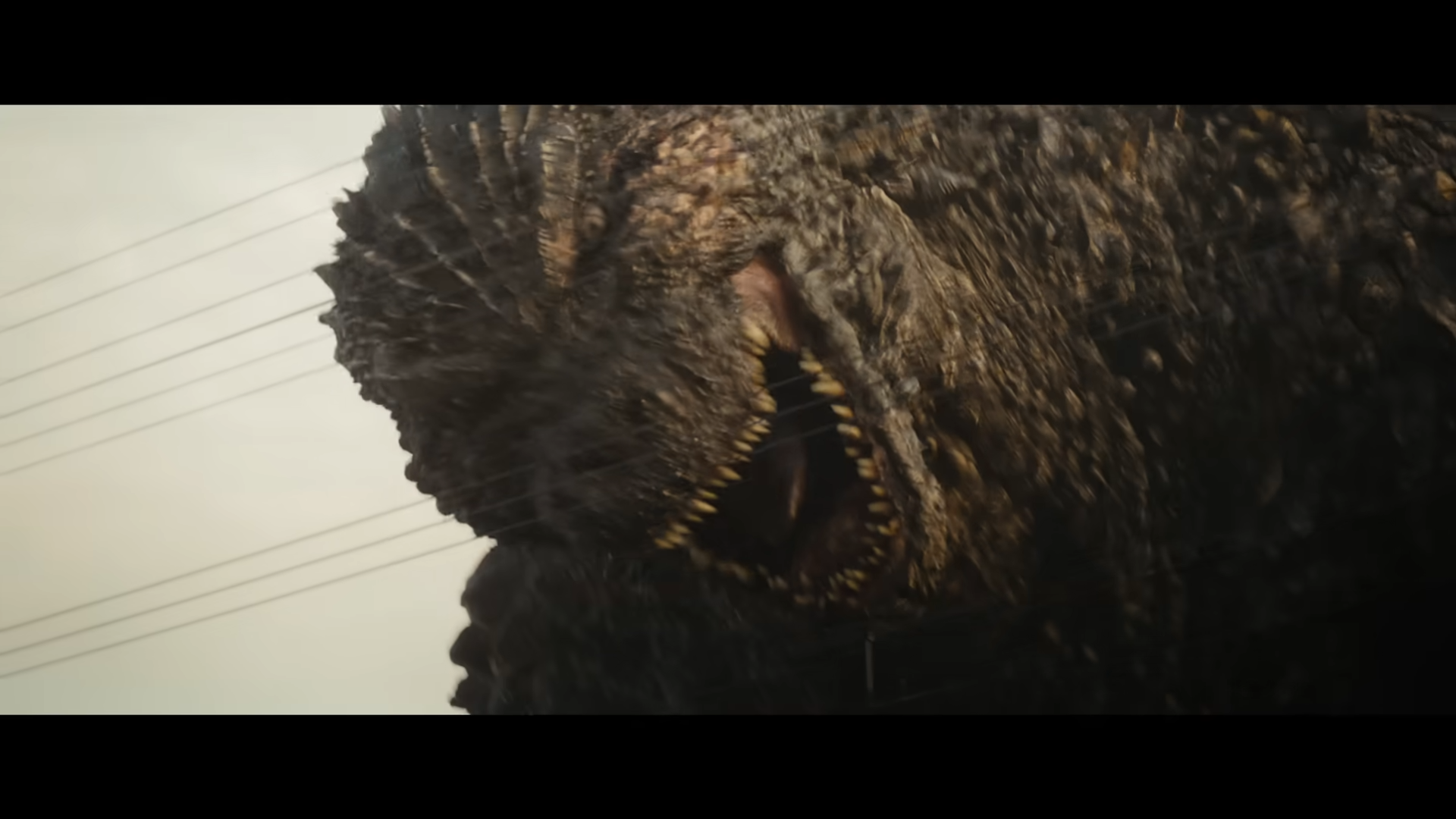 『ゴジバト』5周年インタビュー：ビオランテ&デストロイアが怪獣デザイナー・西川伸司氏によりリブート_028