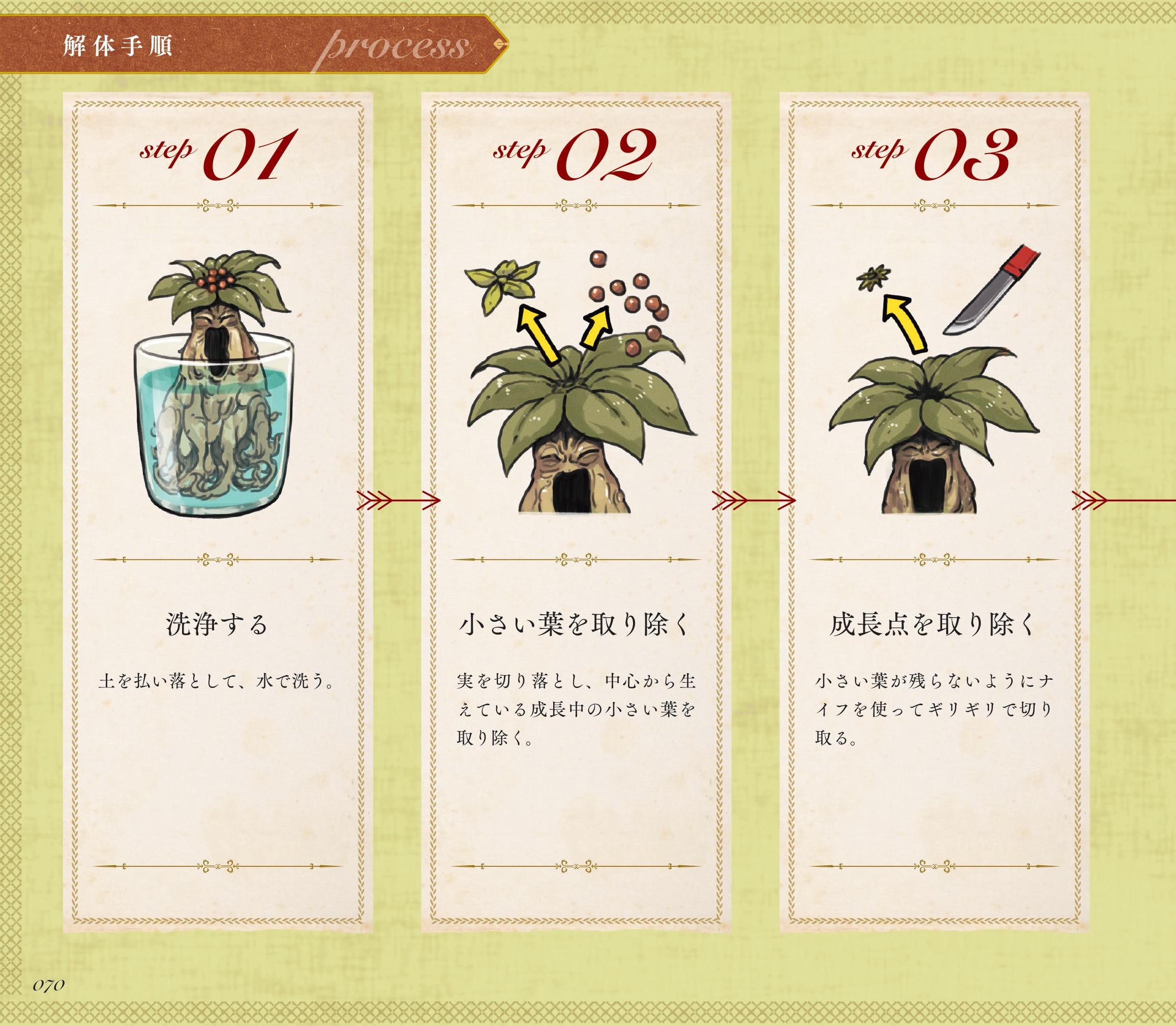 『モンスター解体図鑑』無料公開第3回「マンドレイク」_002