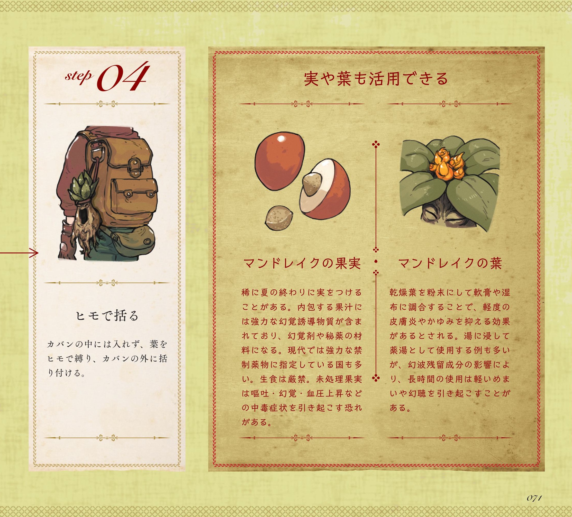 『モンスター解体図鑑』無料公開第3回「マンドレイク」_003